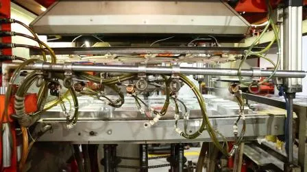 透明な蓋付きのカスタムブラックペットマットおもちゃ包装ブリスタートレイ