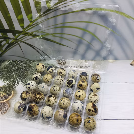 透明ブリスタープラスチックペット20穴ウズラ卵包装トレイ