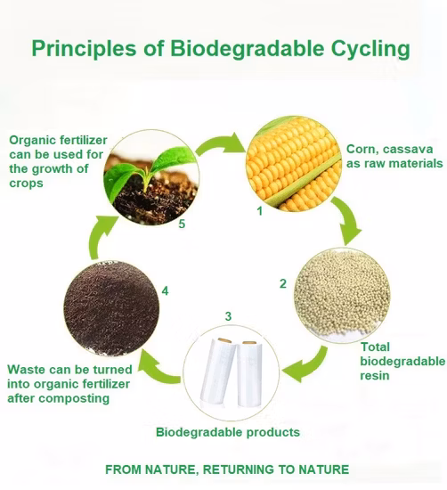 食品グレードのエコ